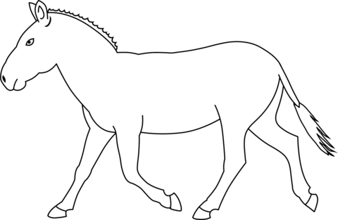 Zebra Without Stripes Coloring Page